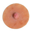 Medium size nipple